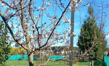 Parcela en comuna de Lanco