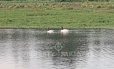 Estupenda casa en Condominio Santa Emilia, entrada norte de Valdivia.