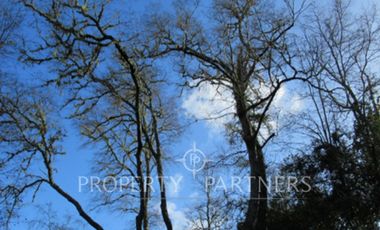 Parcela en condominio, sector de Iñaque