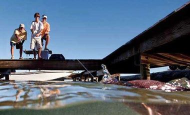 Parcela en Venta en Aeródromo Costa del Sol
