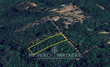 Hermosa parcela ubicada en sector Punucapa