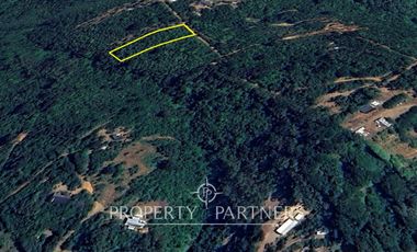 Hermosa parcela ubicada en sector Punucapa