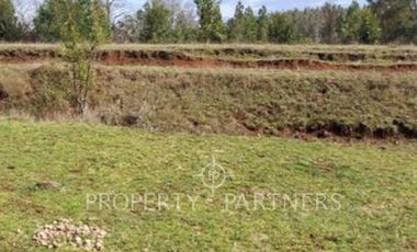 Parcela sector Chancoyán