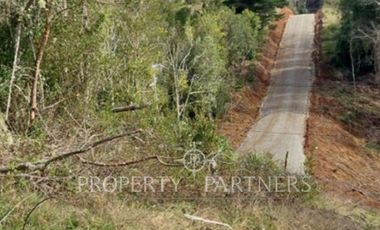 Parcela sector Chancoyán