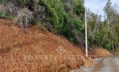 Parcela sector Chancoyán