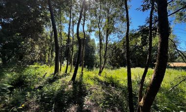 Maravillosa parcela con orilla de rio (Lanco)