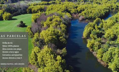 Maravillosa parcela con orilla de rio (Lanco)