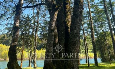 Parcela en  inigualable entorno con vista al río,  sector  Los Robles, Los Lagos