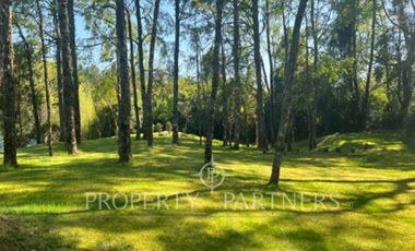 Parcela en  inigualable entorno con vista al río,  sector  Los Robles, Los Lagos