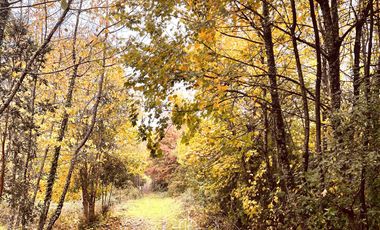 Terreno con  borde brazo río Angachilla