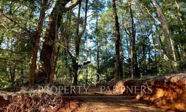 Se vende espectacular parcela en exclusivo Condominio de Vadivia