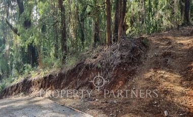 Se vende espectacular parcela en exclusivo Condominio de Vadivia