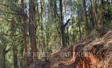 Se vende espectacular parcela en exclusivo Condominio de Vadivia