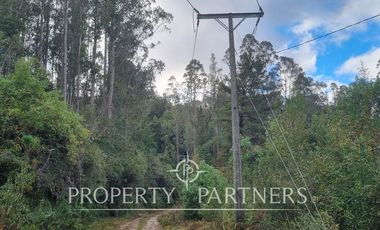 Terreno con Vista al Río Cruces, Gran Oportunidad de Inversión