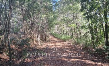 Linda Parcela con Vista a la Ciudad, Sector El Arenal