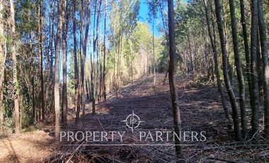 Linda Parcela con Vista a la Ciudad, Sector El Arenal