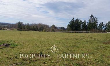 Parcela sector Chancoyán