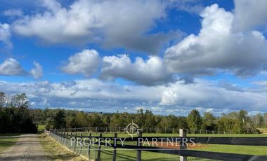 Parcela sector Chancoyán