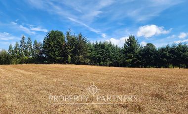 Hermoso Terreno a pasos del Río Bueno