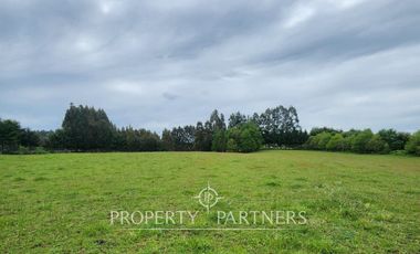 Hermoso Terreno a pasos del Río Bueno
