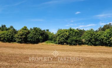 Hermoso Terreno a pasos del Río Bueno