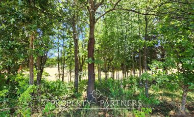 Hermoso Terreno a pasos del Río Bueno