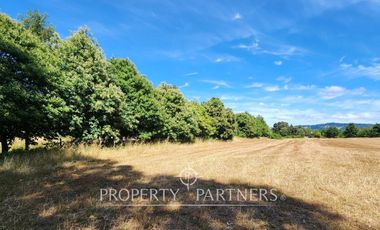 Hermoso Terreno a pasos del Río Bueno