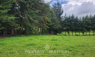 Hermoso Terreno a pasos del Río Bueno