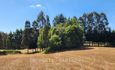Hermoso Terreno a pasos del Río Bueno