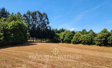 Hermoso Terreno a pasos del Río Bueno