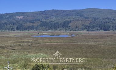 Hermosas Parcelas con Vista al Humedal Santo Domingo