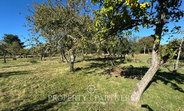 Parcela sector Punucapa