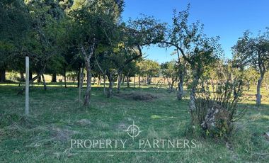 Parcela sector Punucapa