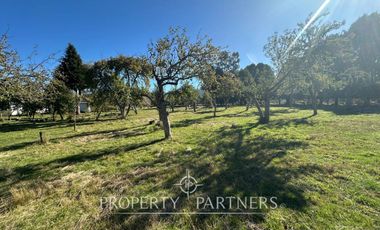 Parcela sector Punucapa