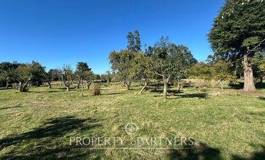 Parcela sector Punucapa