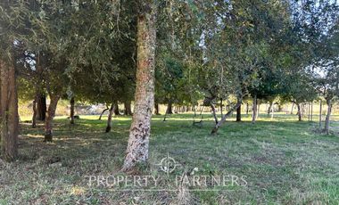 Parcela sector Punucapa