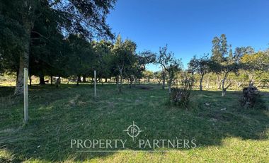 Parcela sector Punucapa