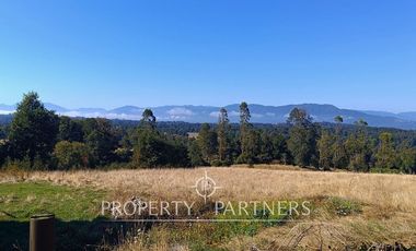 Parcela con cabaña en Panguipulli Los Tallos Altos