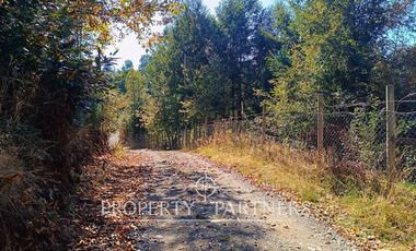 Parcela con cabaña en Panguipulli Los Tallos Altos