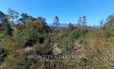 Parcela con cabaña en Panguipulli Los Tallos Altos