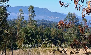 Parcela con cabaña en Panguipulli Los Tallos Altos