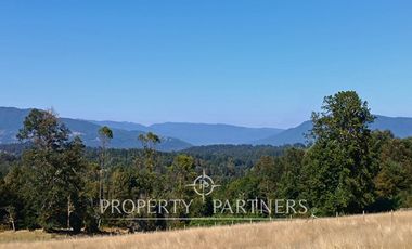 Parcela con cabaña en Panguipulli Los Tallos Altos