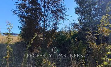 Parcela con cabaña en Panguipulli Los Tallos Altos