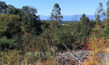 Parcela con cabaña en Panguipulli Los Tallos Altos