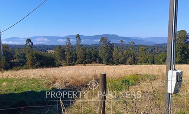 Parcela con cabaña en Panguipulli Los Tallos Altos