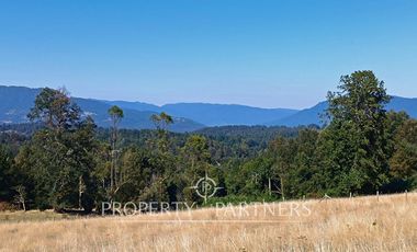 Parcela con cabaña en Panguipulli Los Tallos Altos