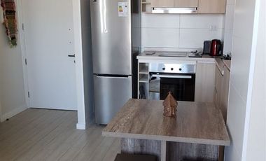 Departamento en Arriendo en Sector centro de La ciudad, a pasos de Hospital y Universidad de Concepción