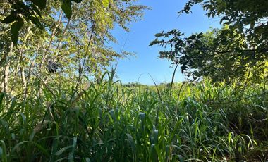 TERRENO EN VENTA EN FELIPE CARRILLO PUERTO, RIVIERA MAYA, MÉXICO