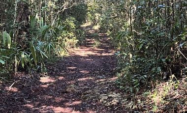 TERRENO EN VENTA EN FELIPE CARRILLO PUERTO, RIVIERA MAYA, MÉXICO
