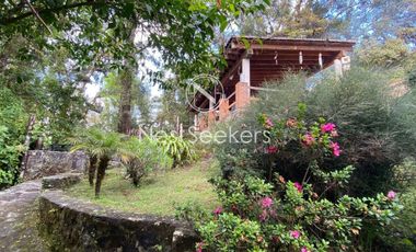 Casa en renta en medio del bosque
